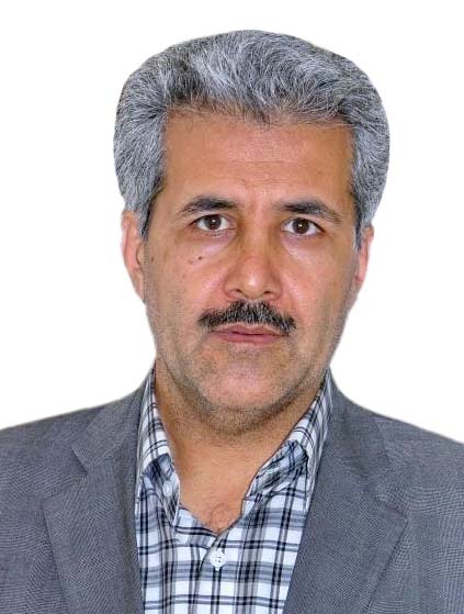 محسن نوکاریزی