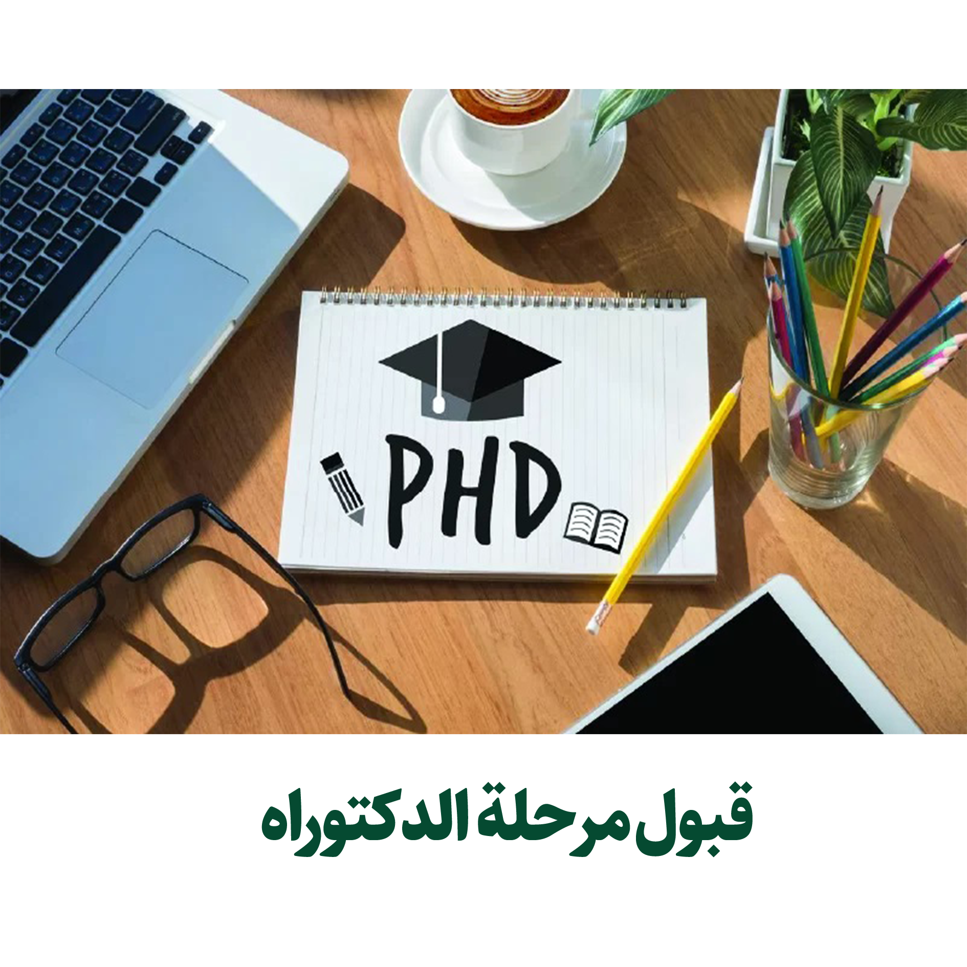 PhD