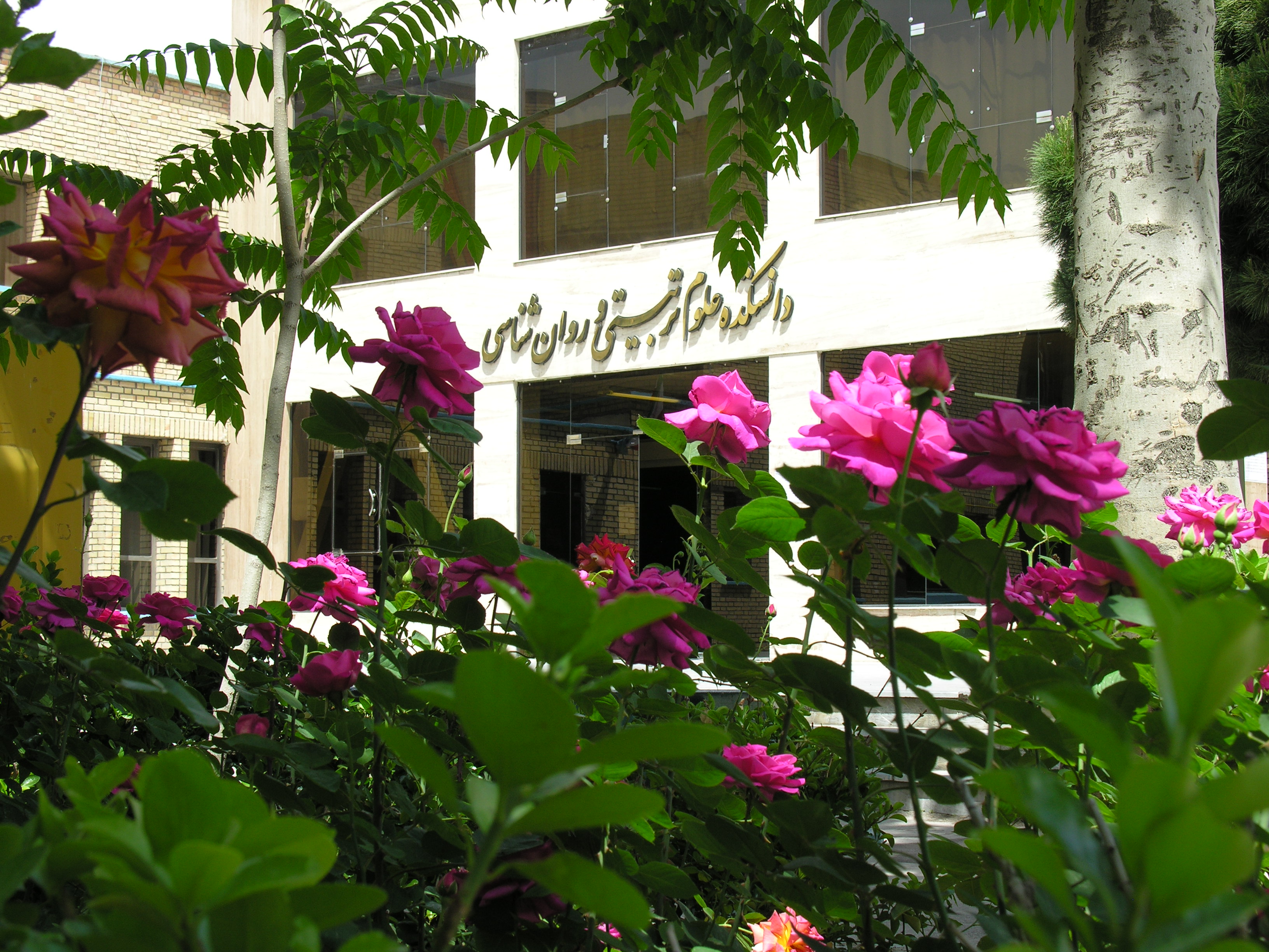 DSCN4440.jpg